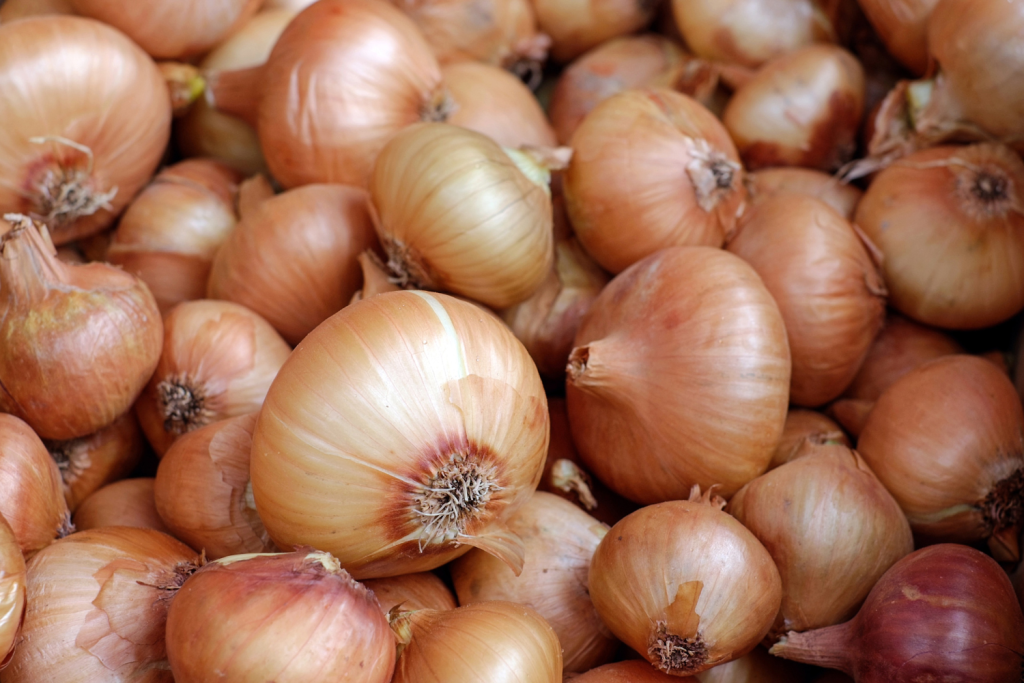 La exportación de cebolla en Perú se ve favorecida por la caída de la producción europea