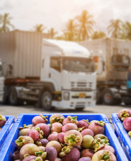 transporte y logística durante la temporada alta de frutas y verduras