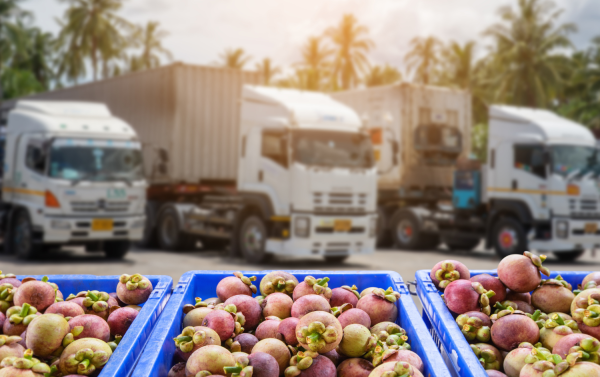 transporte y logística durante la temporada alta de frutas y verduras
